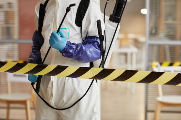 Professional Sewage Cleanup technician working in South Bound Brook, NJ